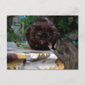 Frieden! Lass uns als Freunde Postkarte (Vorderseite)