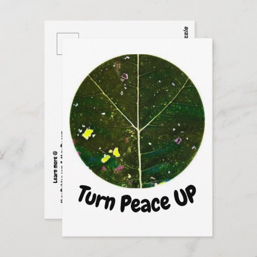 Frieden machen postkarte (Vorne/Hinten)