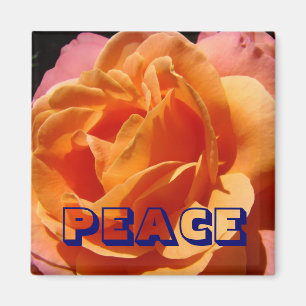 FRIEDEN Magnet Orange Rose Blume Natur