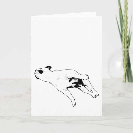 Frieden & Pfoten Karte (Vorderseite)