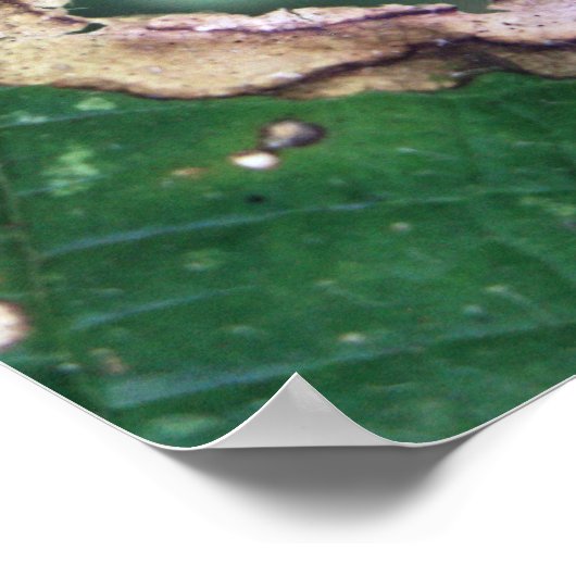 Frieden Poster (Ecke)