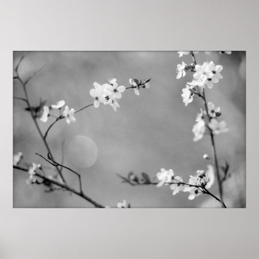 FRIEDEN POSTER (Vorne)