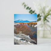 "Frieden" Postkarte (Stehend Vorderseite)