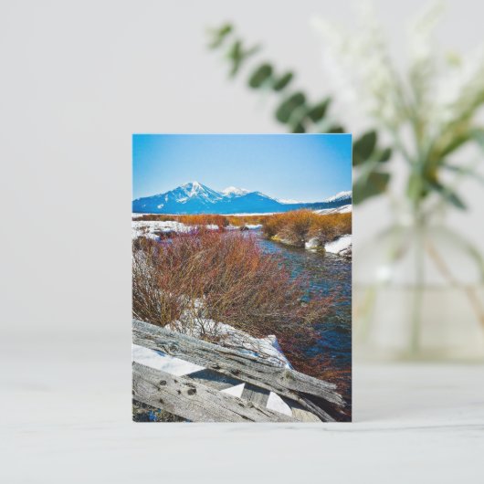 "Frieden" Postkarte (Stehend Vorderseite)