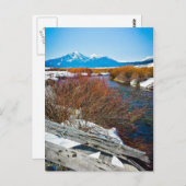 "Frieden" Postkarte (Vorne/Hinten)