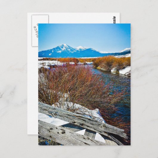 "Frieden" Postkarte (Vorne/Hinten)