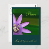 Frieden Postkarte (Vorne/Hinten)