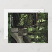 Frieden Postkarte (Vorne/Hinten)