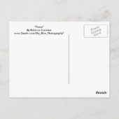 Frieden Postkarte (Rückseite)