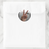 FRIEDEN RUNDER AUFKLEBER (Tasche)