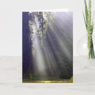 Frieden und Freude Feiertagskarte