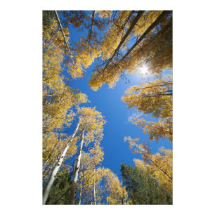 Frieden und Gelassenheit im Aspen Fotodruck
