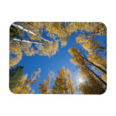 Frieden und Gelassenheit im Aspen Magnet (Horizontal)