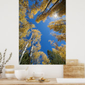 Frieden und Gelassenheit im Aspen Poster (Küche)