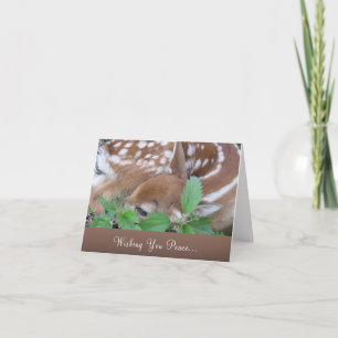 "Frieden wünschen" - Beileid- und Verlustkarte Karte