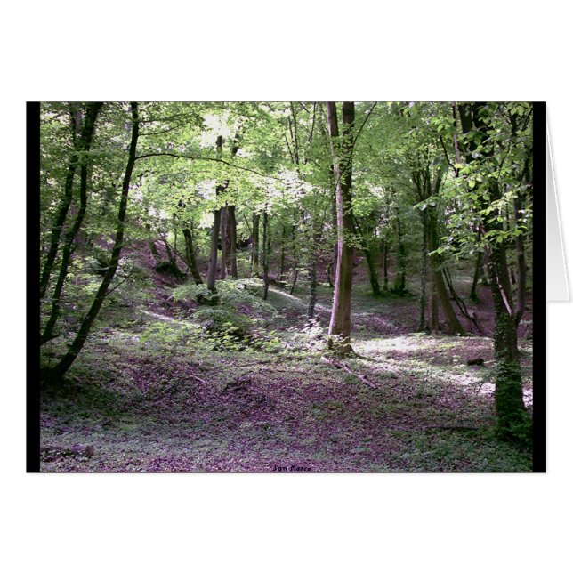 Friedensbetonung (Vorderseite (Horizontal))