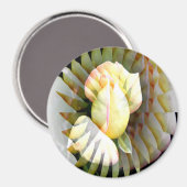 Friedensblätter...... Magnet (Vorderseite/Rückseite)