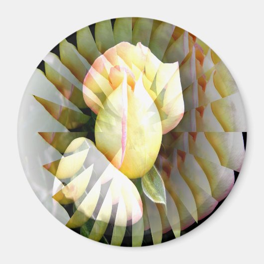 Friedensblätter...... Magnet (Vorne)
