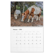 FRIEDENSFARMKALENDER 2024 KALENDER (Feb 2026)