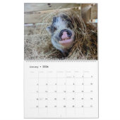 FRIEDENSFARMKALENDER 2024 KALENDER (Jan 2026)