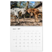 FRIEDENSFARMKALENDER 2024 KALENDER (Mär 2027)
