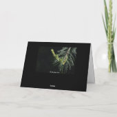 Friedensfeiertagskarte Feiertagskarte (Rückseite)