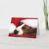 Friedensgrußkarte Feiertagskarte (Rückseite)