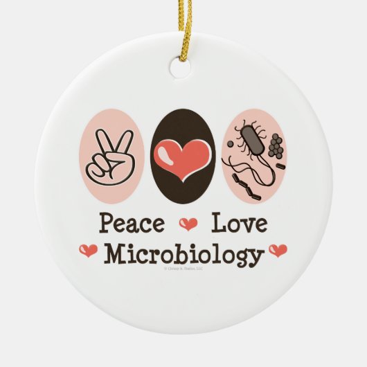FriedensLiebe-Mikrobiologie-Verzierung Keramikornament (Vorne)