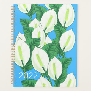 Friedenslilie 2022 planer