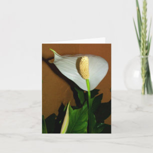 Friedenslilien-Blumen-Notizkarte Karte
