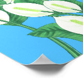 Friedenslily Illustration Poster (Ecke)