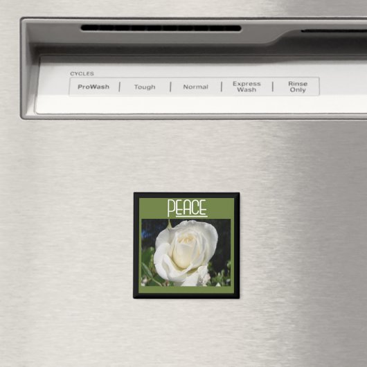 Friedensmagnet Magnet (In Situ (Geschirrspüler))