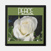 Friedensmagnet Magnet (Vorne)