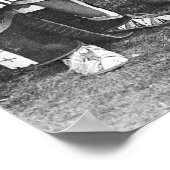 Friedenspfeife: 1905 poster (Ecke)