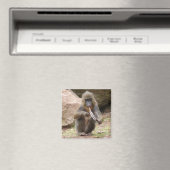 Friedenspfeife Magnet (In Situ (Geschirrspüler))