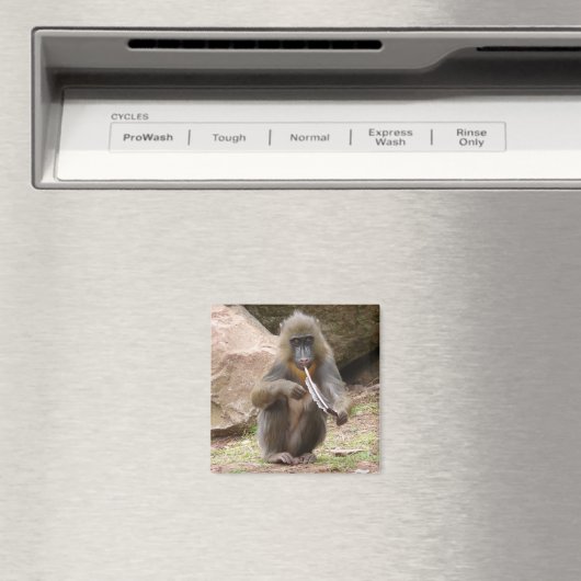 Friedenspfeife Magnet (In Situ (Geschirrspüler))