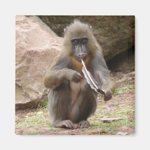 Friedenspfeife Magnet