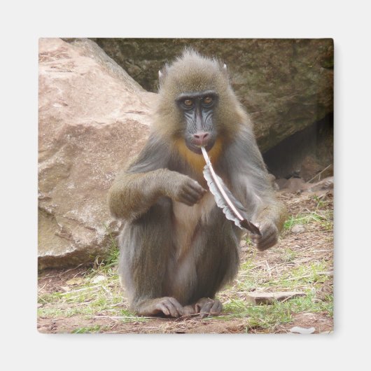 Friedenspfeife Magnet (Vorne)