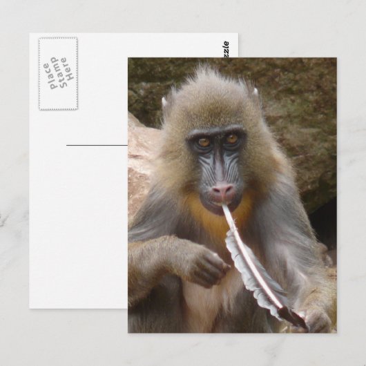 Friedenspfeife Postkarte (Vorne/Hinten)