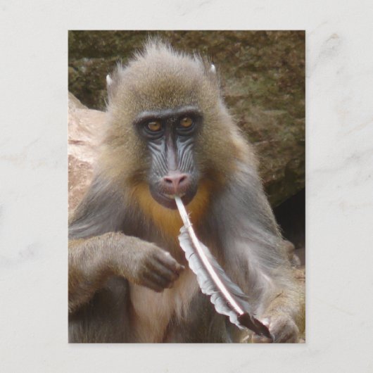 Friedenspfeife Postkarte (Vorderseite)