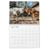 Friedensplan Kalender (Mär 2027)