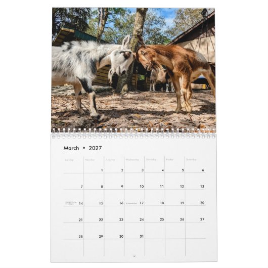 Friedensplan Kalender (Mär 2027)