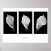 Friedensposter Poster (Vorne)