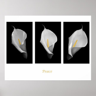 Friedensposter Poster