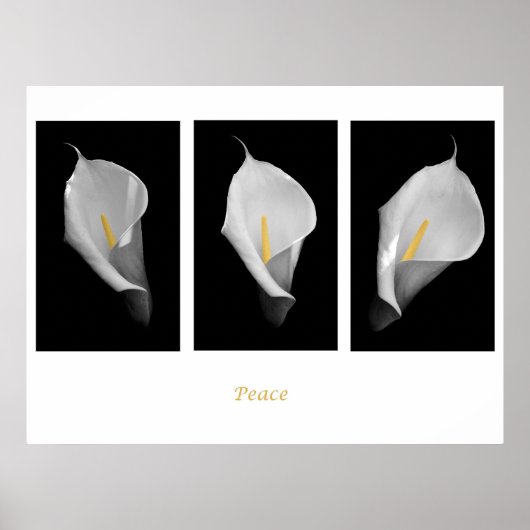 Friedensposter Poster (Vorne)