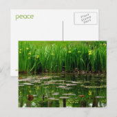 Friedenspostkarte Postkarte (Vorne/Hinten)
