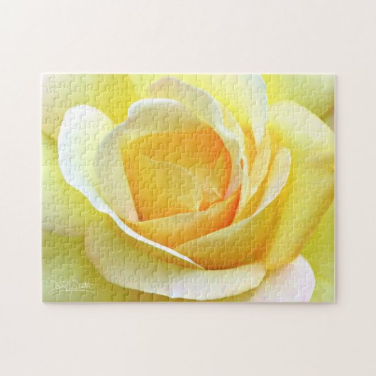 Friedensrose Puzzle (Horizontal)