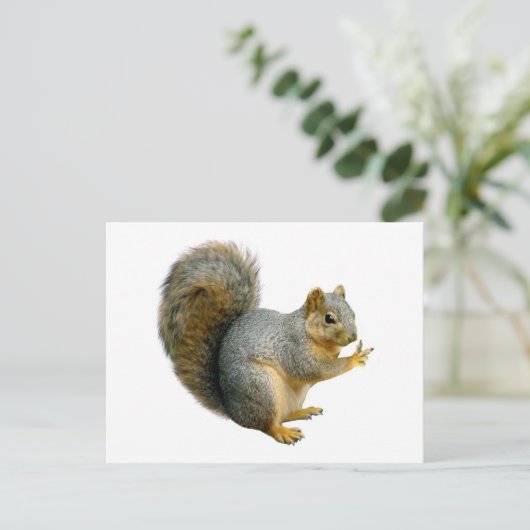 Friedensseichler Postkarte (Stehend Vorderseite)