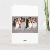 FriedensSheltie Karte (Rückseite)