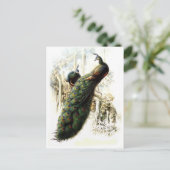 Friedenstruppen Postkarte (Stehend Vorderseite)